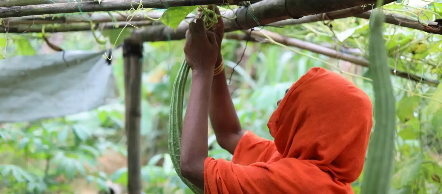 Bangladesh. Livelihood Activities For Refugees
