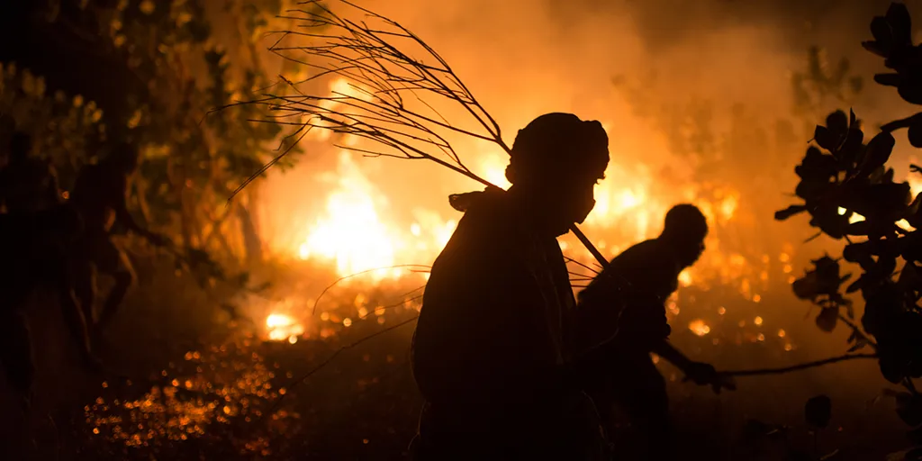 Members of the Refugee Fire Brigade use branches to beat out a large bushfire. ©UNHCR/Colin Delfosse