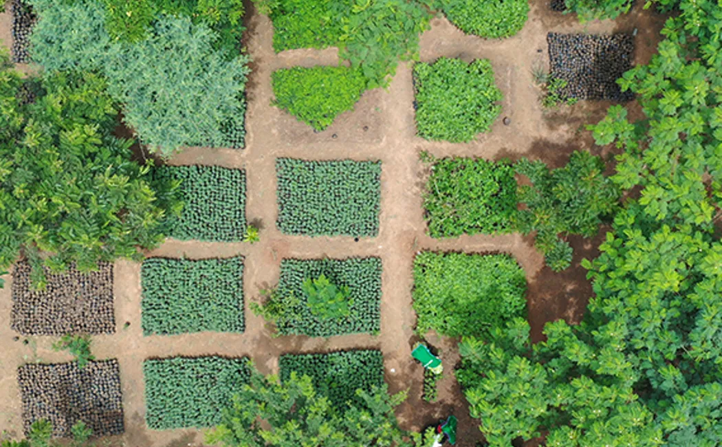 Extension Green Wall 3