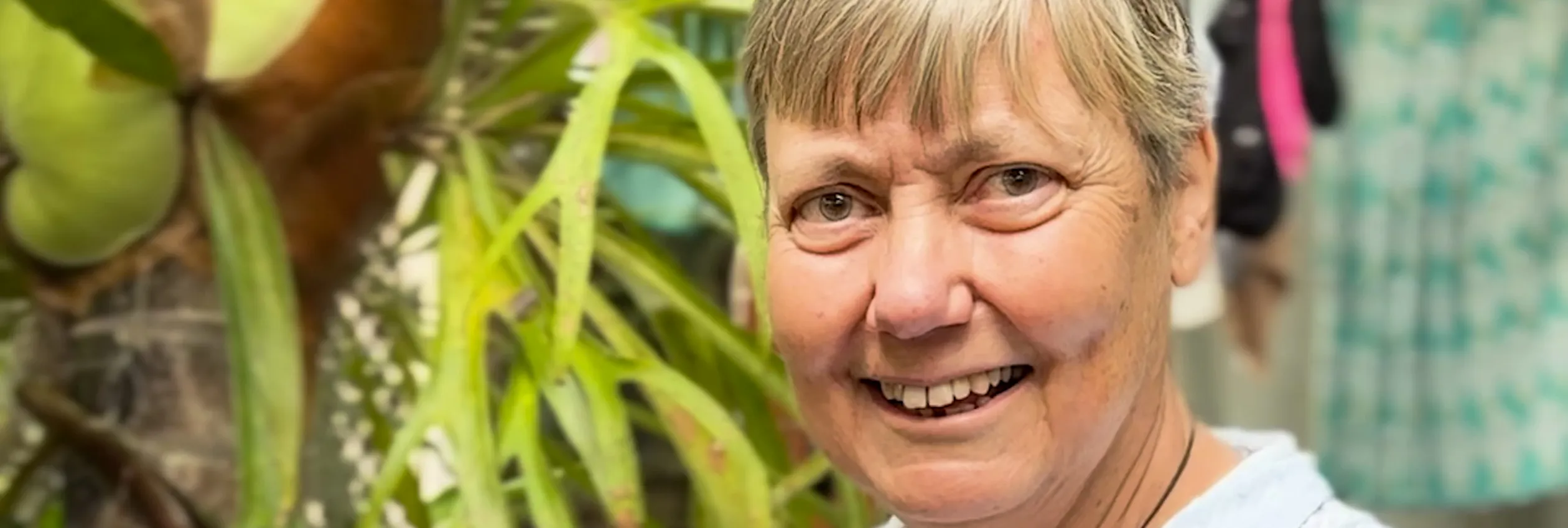 Australia. Ruth Carter Gardens And Sells Her Plants To Fundraiser For Refugees And Displaced People.