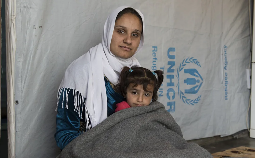 A winter protection kit