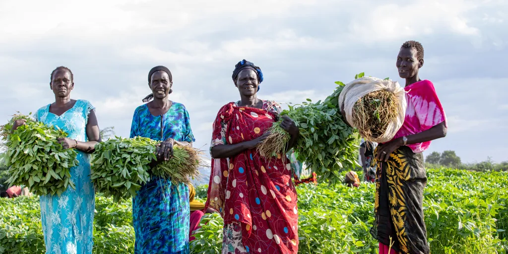 From L to R: Daruka, Akoh, Achot and Martha. They are vegetable vendors who buy their produce from Charo farm wher both Kenyans and refugees farm. They then sell these vegetables to both Kenyans and refugees, making money to support their families in different ways and children with education materials.