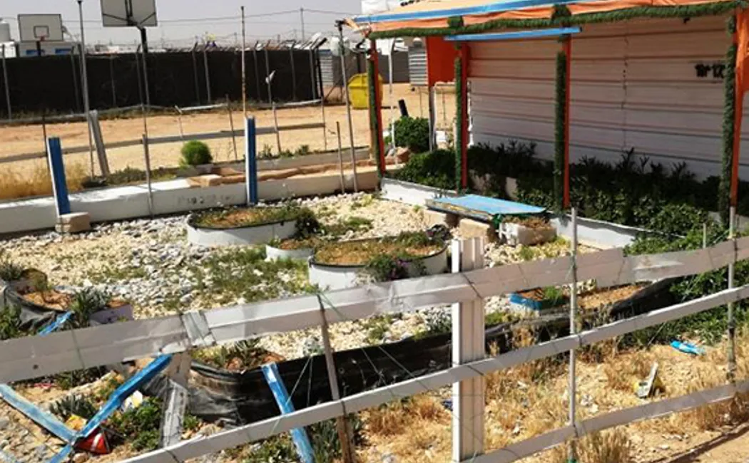 Extension Garden Phoebe Enews Feb