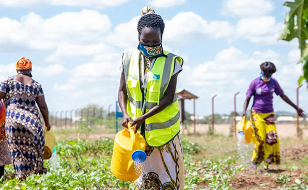 Extension Gardening Idevaw Refugees November Article