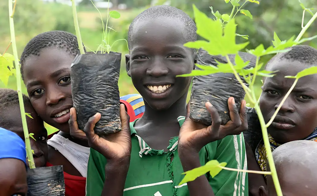 Facebook Refugees In Cameroon Help Build Great Green Wall To Combat Desertification