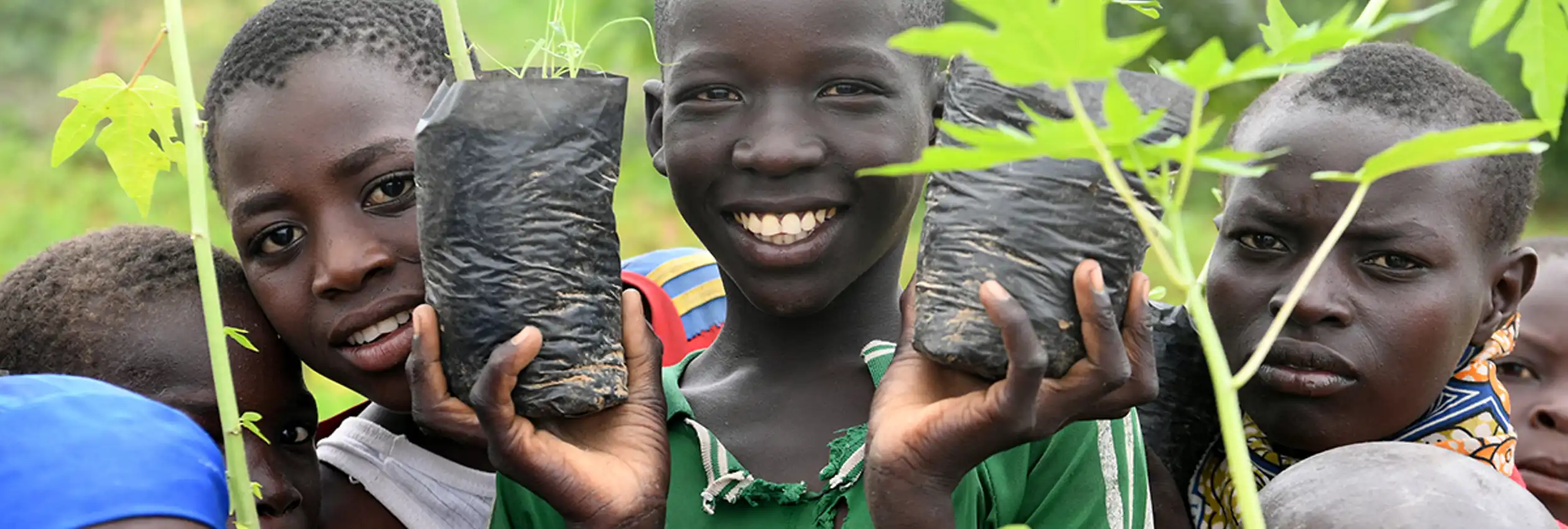 Facebook Refugees In Cameroon Help Build Great Green Wall To Combat Desertification